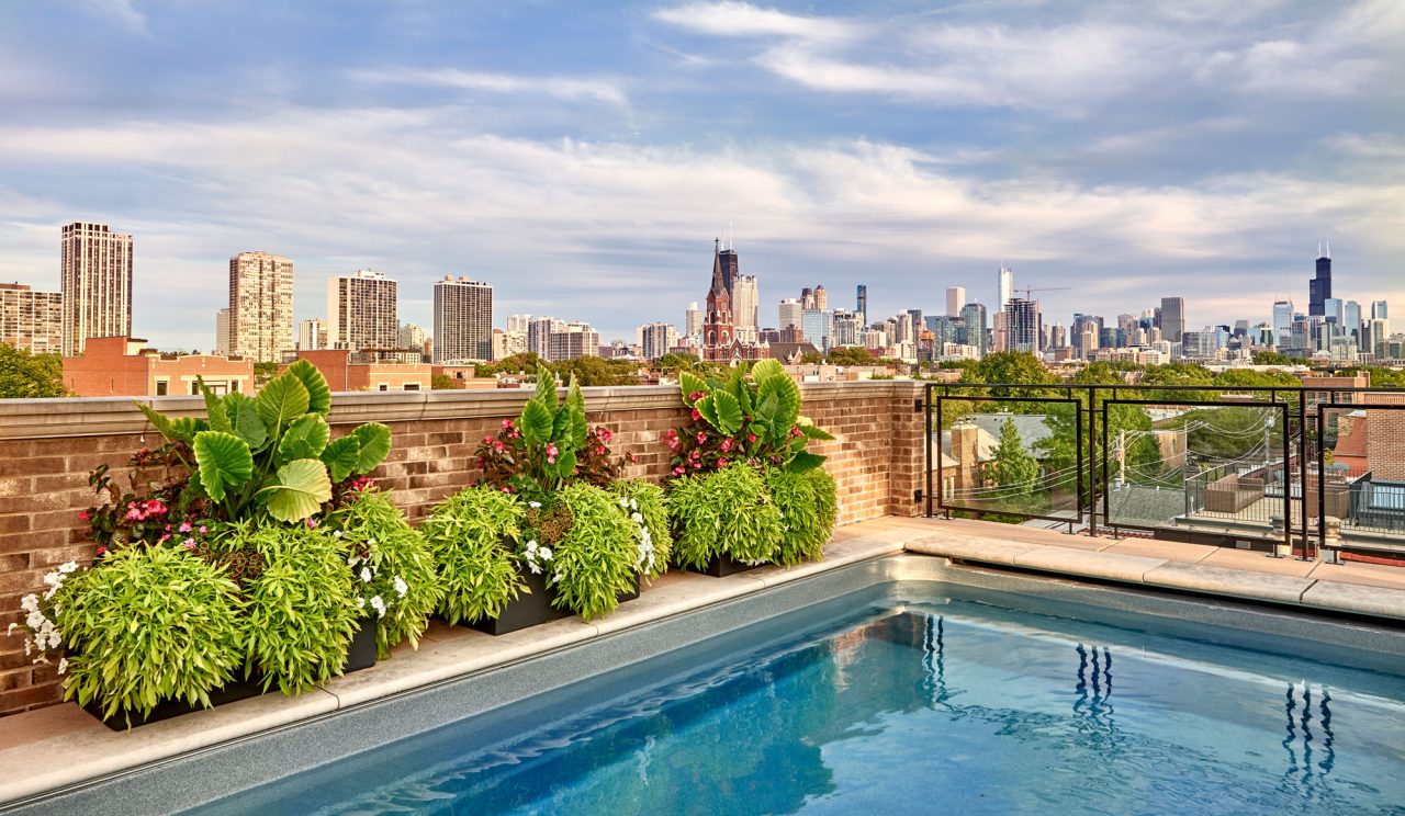 Rooftop pool with summer annual containers looking at the Chicago skyline.
