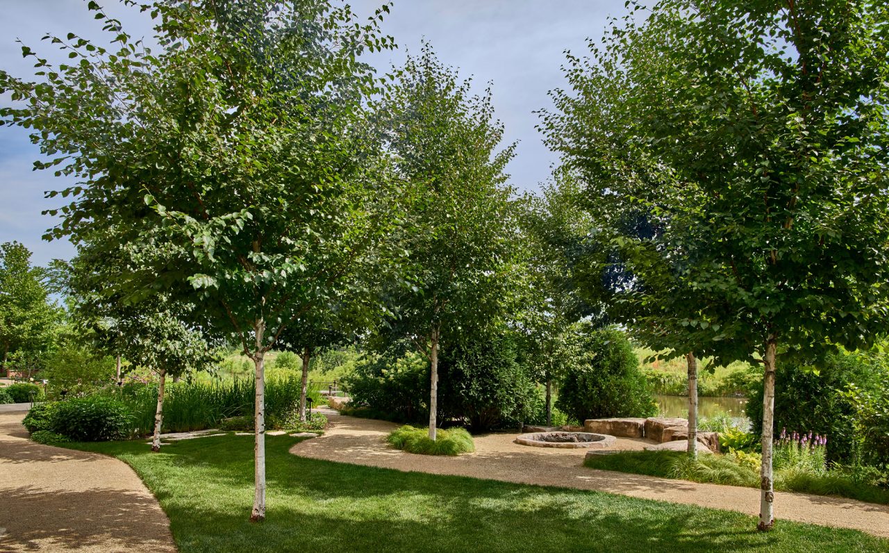 An award winning commercial informal landscape with gravel walking paths leading to a natural stone fire pit.