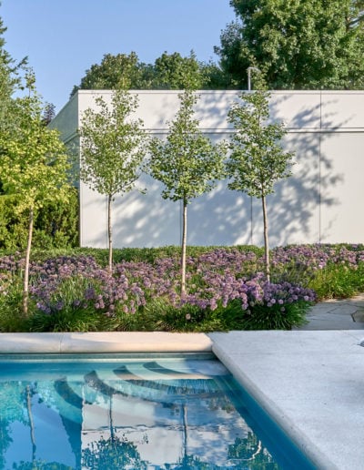 Una piscina tranquila con un fondo de árboles de ginkgo y plantas perennes del género Allium.