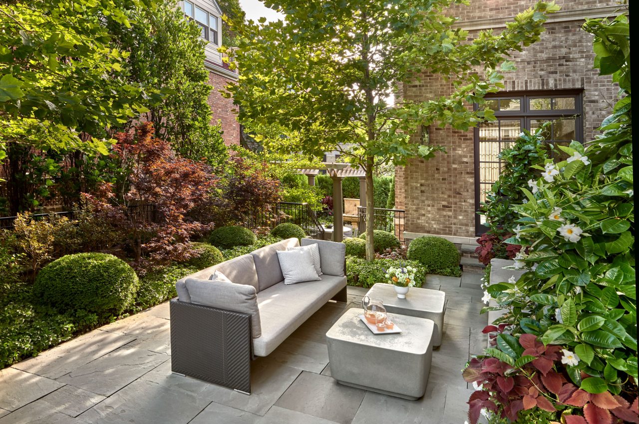 Comfortable seating area with Japanese Maples, Boxwoods, and Sycamore Tree.