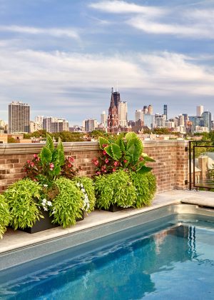 Rooftop garden view of Downtown Chicago over a pool with flowers along the edge.