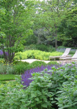 Natural landscape of native annuals and perennials surrounding pool deck