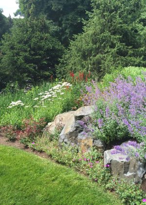 Wisconsin area cottage style perennial garden nestled among boulder outcroppings