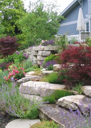 Wisconsin perennial garden set in natural boulder wall with pink roses and Japanese Maple trees