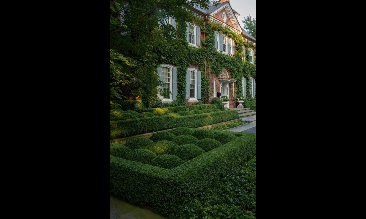 Front entry boxwood hedges. Boxwood shaped as clouds