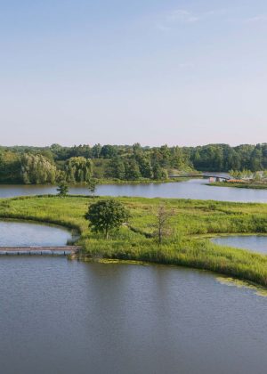 Aerial shot of Dixon Prairie at Chicago Botanic Garden featuring ponds with swans and bridges