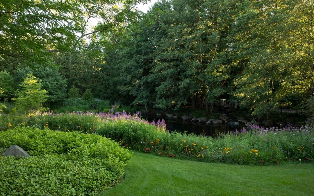 The Art of Turf Core Aeration: Scott Byron & Co.’s Signature Approach