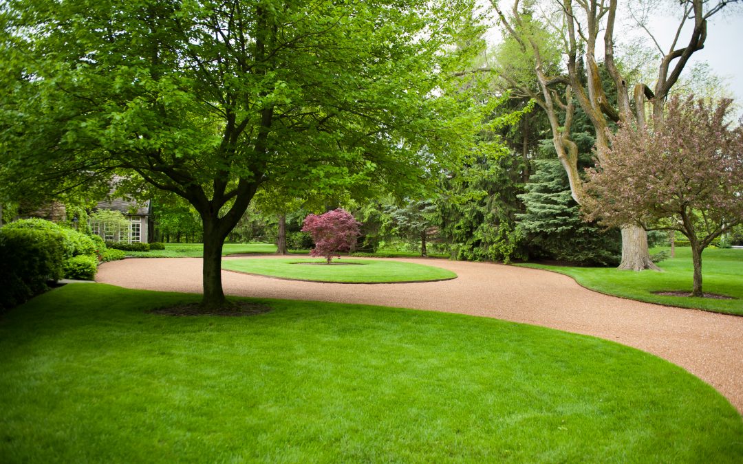 Enhance your Landscape with the Proper Aeration Technique for the Season