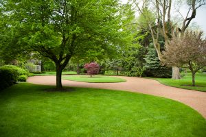 base landscape maintenance