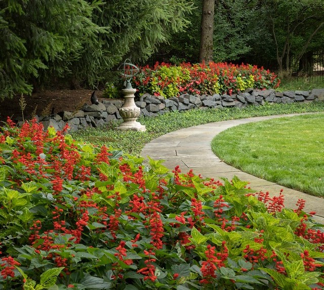 Our Proven 3-Step Approach to Promote Robust Plant Health this Spring