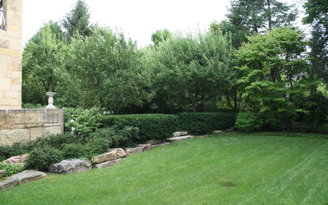 Unlock Lasting Plant Vitality with our Unique Iron Application Program