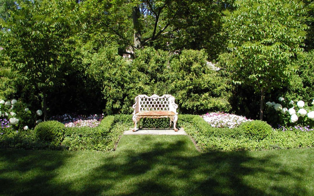 Our Iron Application Program Provides Tailored Plant Growth Solutions