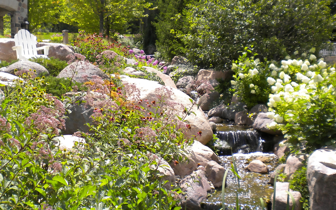 Estrategias eficaces para la conservación del agua en los jardines