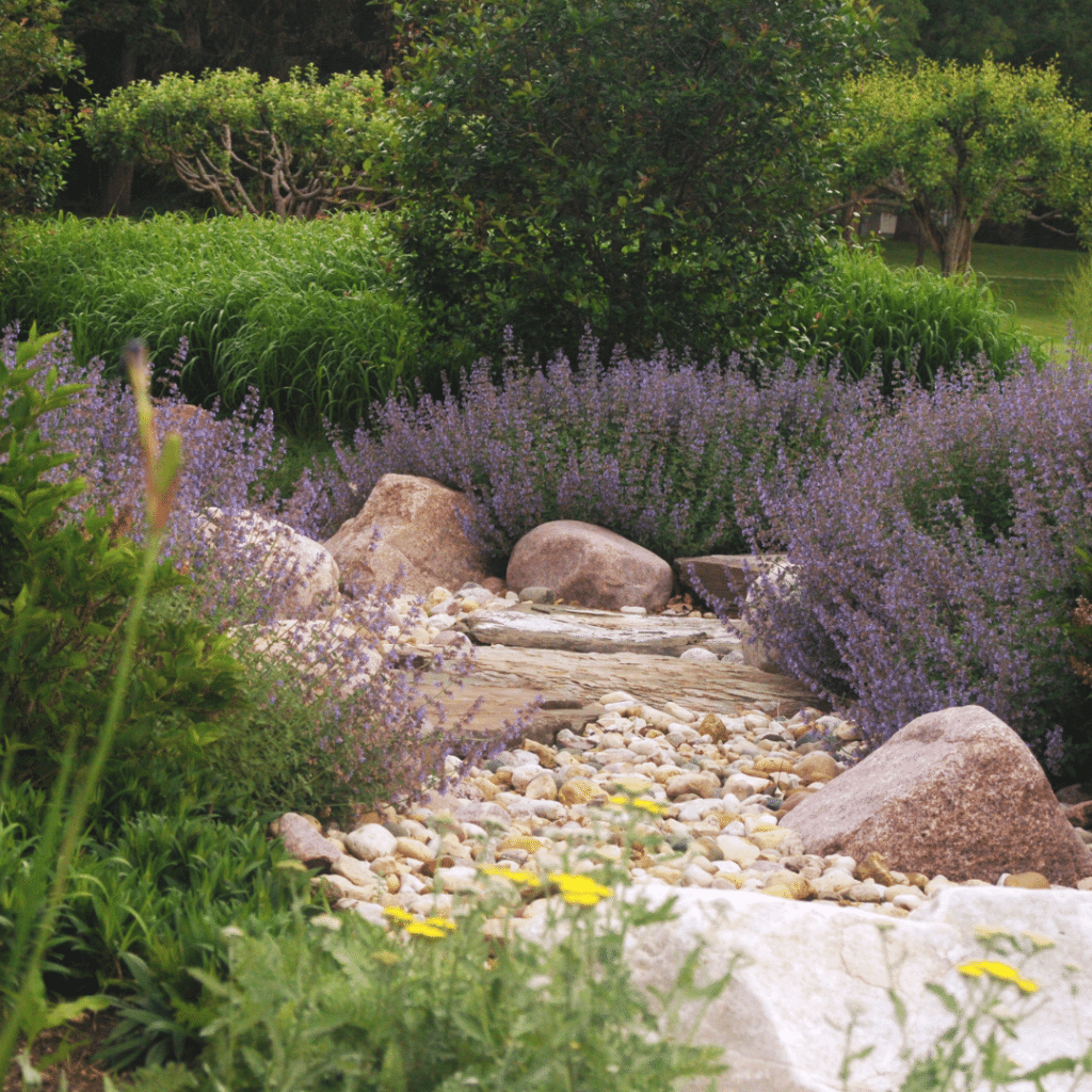 Stream bed garden featuring native plants, river rocks, and drought-tolerant perennials