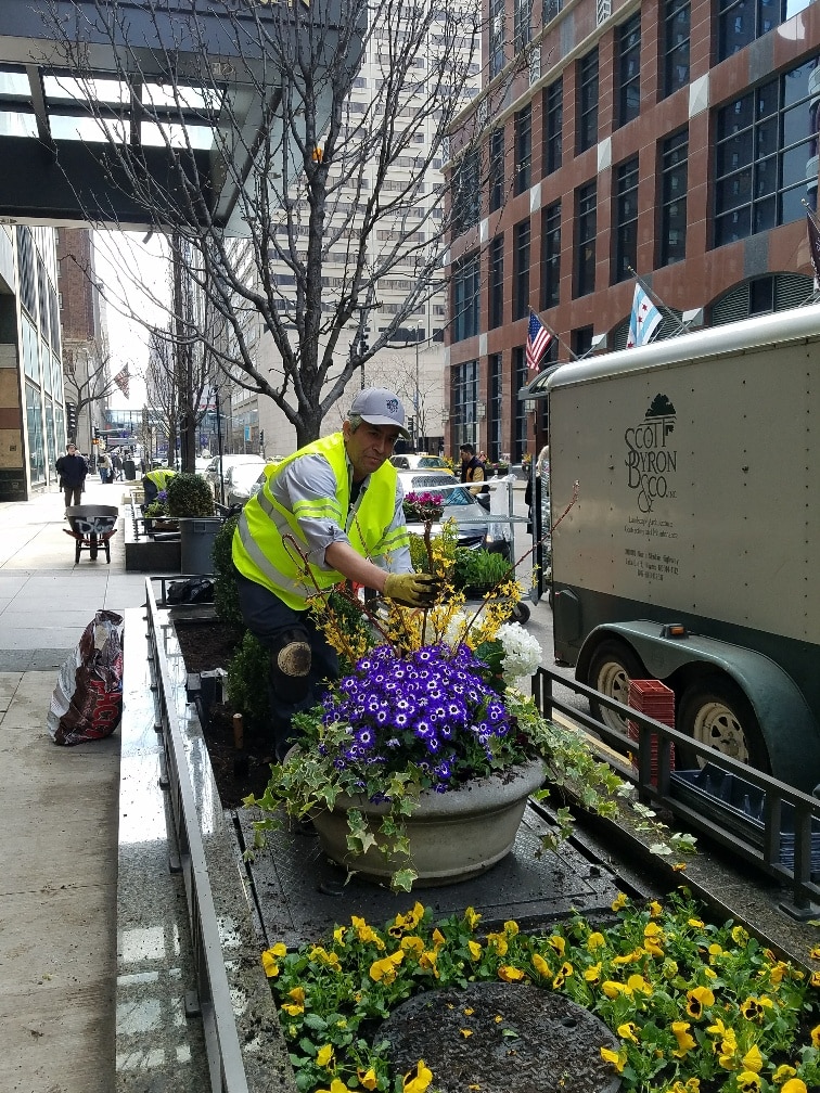 Scott Byron & Co. crew member gently tending to plants and adjusting seasonal decor