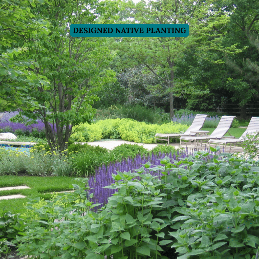 Professionally designed native planting with structured beds of native plants, greenery, and seating area, showcasing sustainable landscape design.