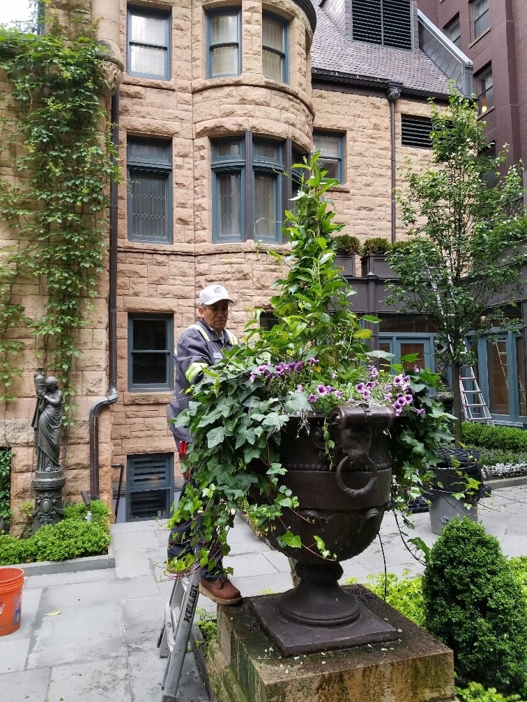 Chicago landscaping sidewalk in city