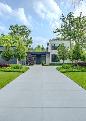 Contrast of formal hedge with lush perennials, and a combination of leaf textures and colors creates a soft, welcoming entry to beautiful home. The pair trees provide privacy, height, and structure at the front of the home.