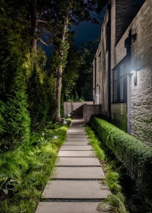 The carex provides a lush groundcover in a densely shaded area of the property allowing for a low maintenance, but beautiful, textural component that compliments and softens the geometric pathway beautifully illuminated by soft landscape lighting
