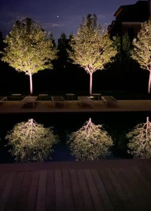 Luxury residential landscape lighting featuring a row of elegantly uplighted ornamental trees at night, reflected in still water beneath a modern terrace, showcasing expert outdoor lighting design, craftsmanship, and refined landscape architecture in a high-end Chicago-area estate