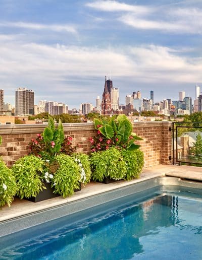 Shrubs and flowers along a rooftop patio with a pool and view of the Chicago skyline looking North