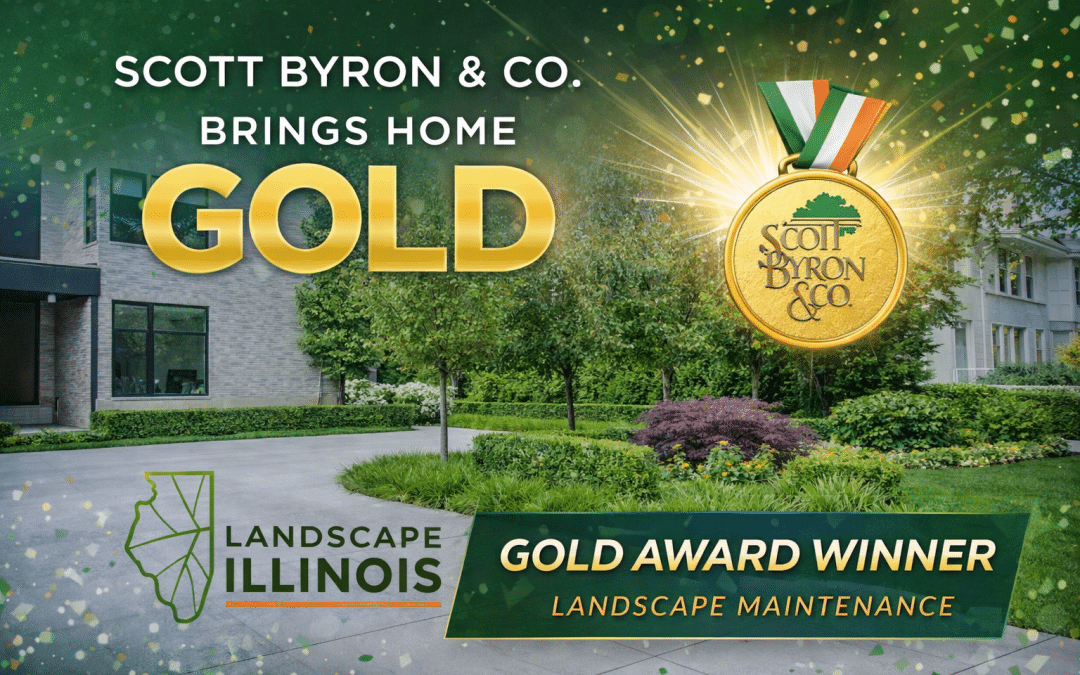 Un referente en la prestación de servicios: Elysian gana el premio Landscape Illinois Gold Award al mejor mantenimiento de jardines