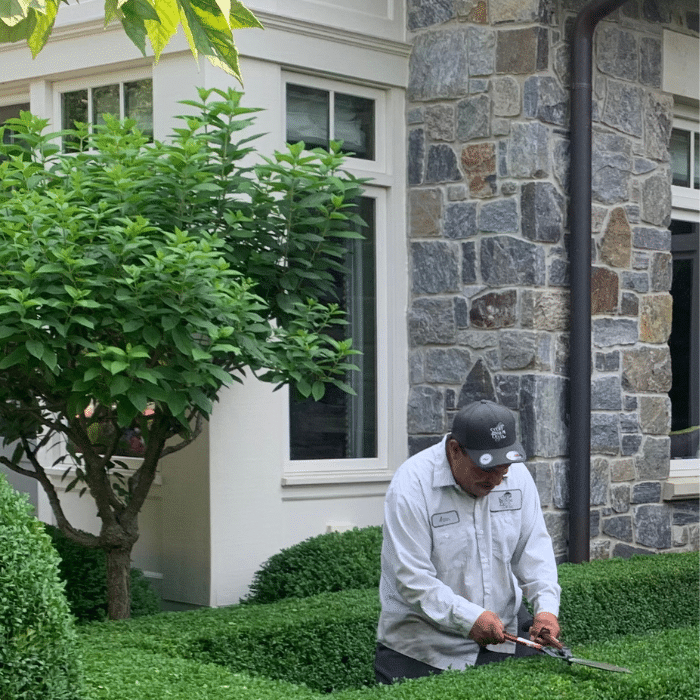 Scott Byron & Co. landscape maintenance team planting and maintaining a formal garden bed with boxwood hedges and seasonal plantings in downtown Chicago.